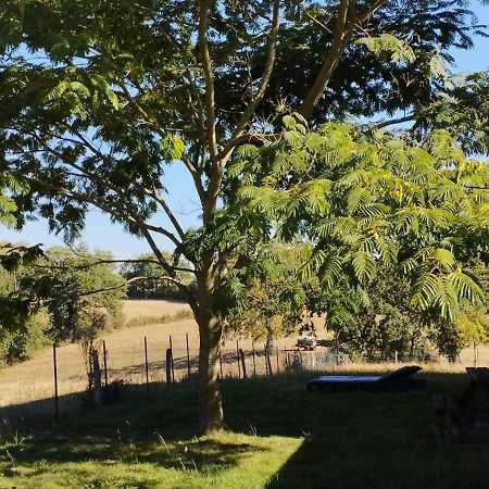 Gite L'Esprit Nature Naucelle Екстериор снимка