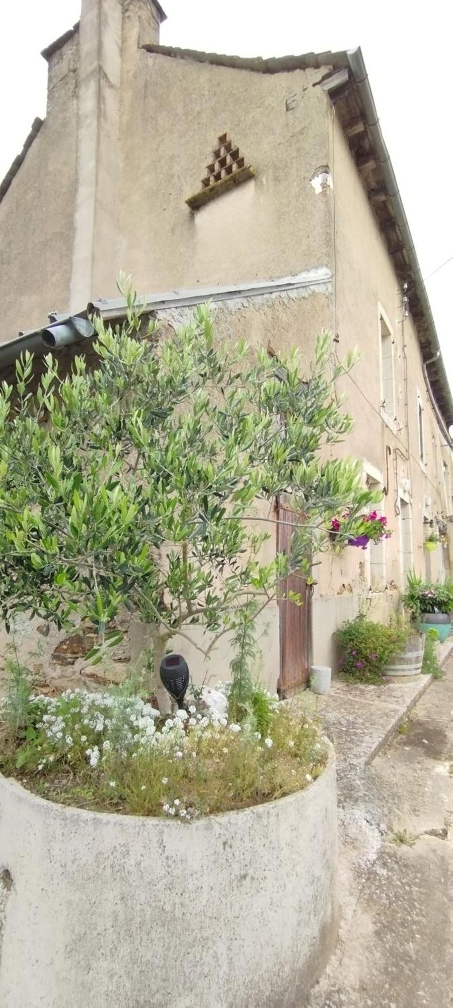 Gite L'Esprit Nature Naucelle Екстериор снимка