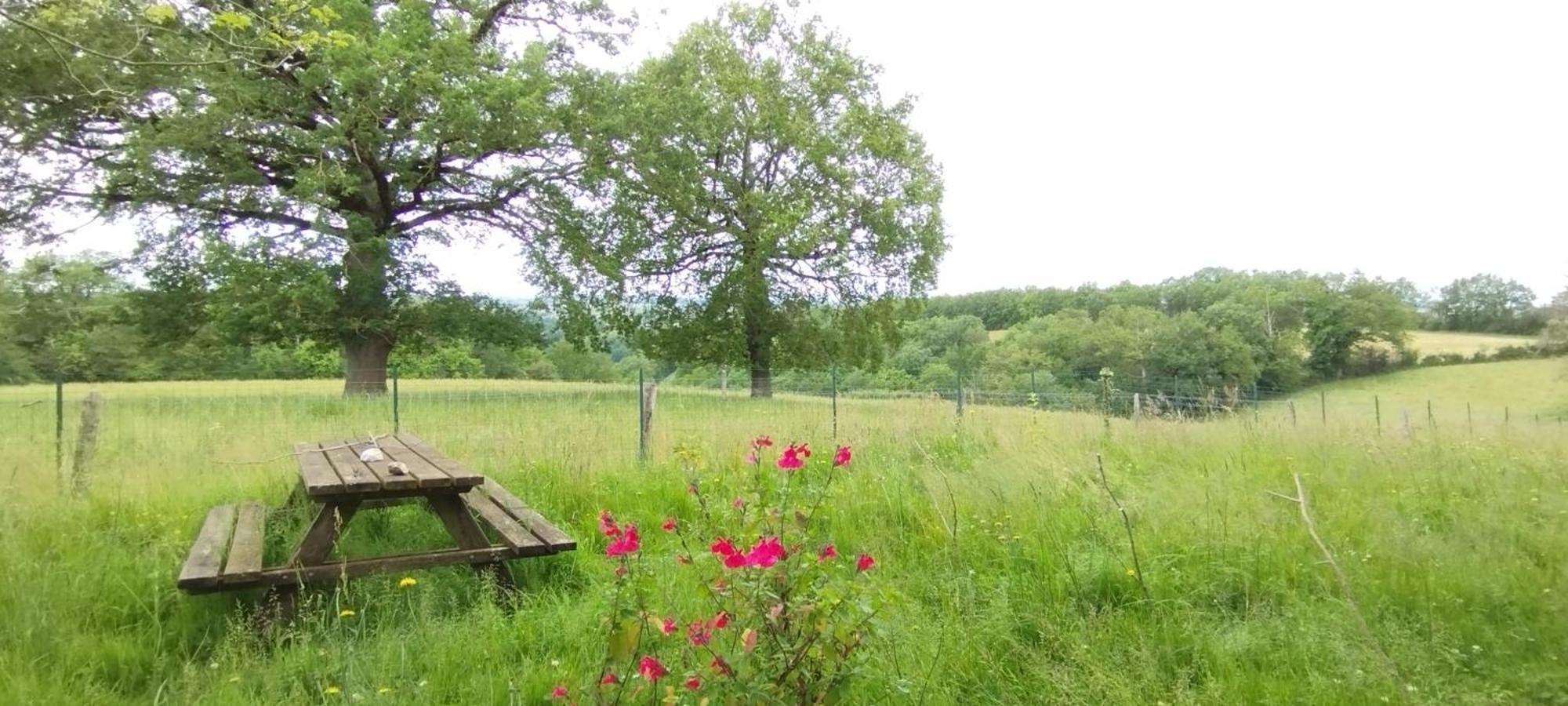Gite L'Esprit Nature Naucelle Екстериор снимка
